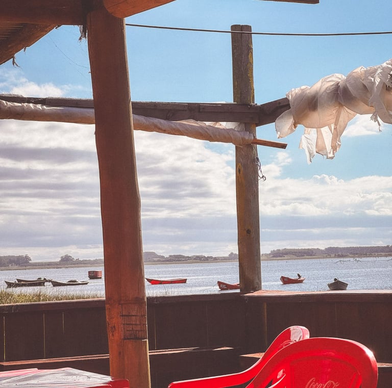 Apalco next to Laguna Rocha in Uruguay