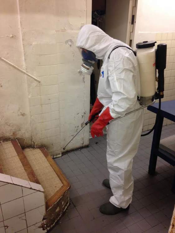 Technicien Safezzy procédant à une désinfection cafards en sous-sol à Delle (Territoire de Belfort)