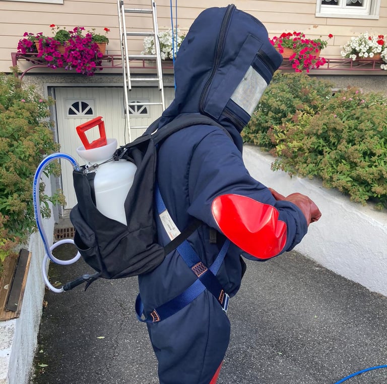 Technicien Safezzy en combinaison intégrale réalisant une désinsectisation frelons à Saint-Louis