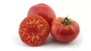 a tomato seeding tomato tomato seeding tomato seeding