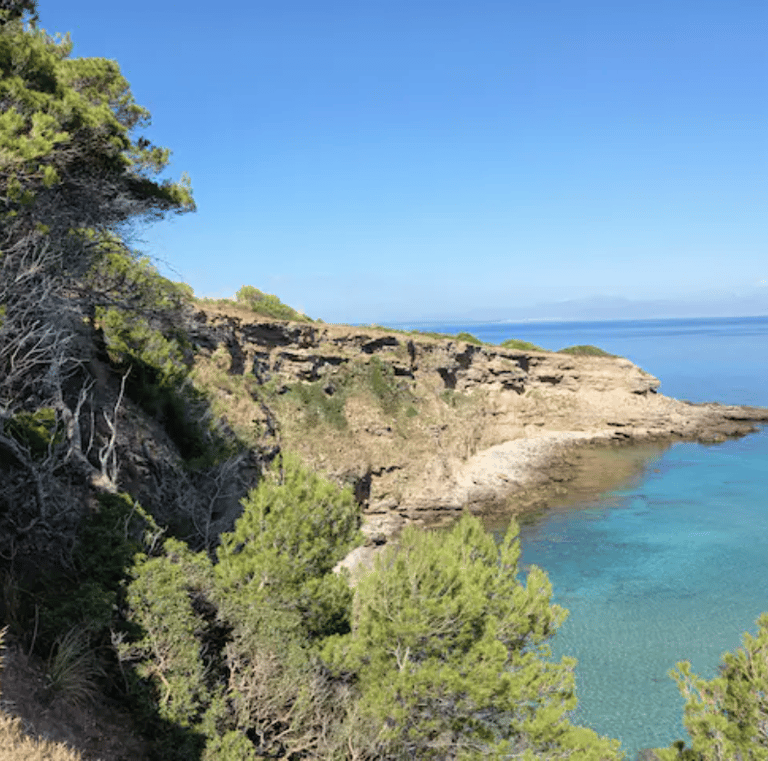 a person standing on a cliff overlooking a body of water