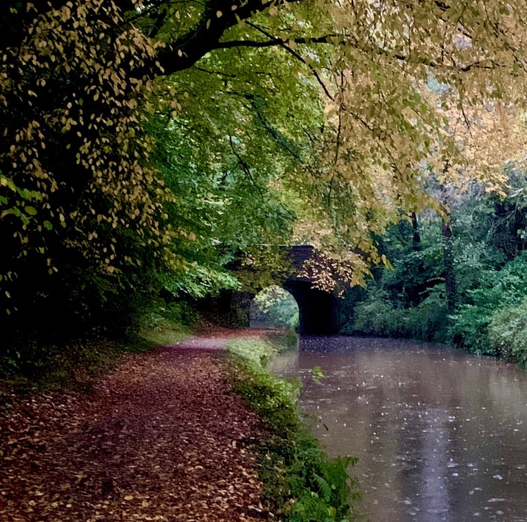 The beautiful autumn colours and nature of the Monmouthshire and Brecon canal in the Brecon Beacons, South Wales.