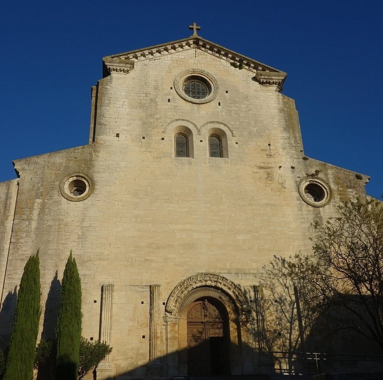 La cathédrale Notre Dame de Saint-Paul-Trois-Châteaux se trouve près du mas de l'Enclos du Soleil le Vent