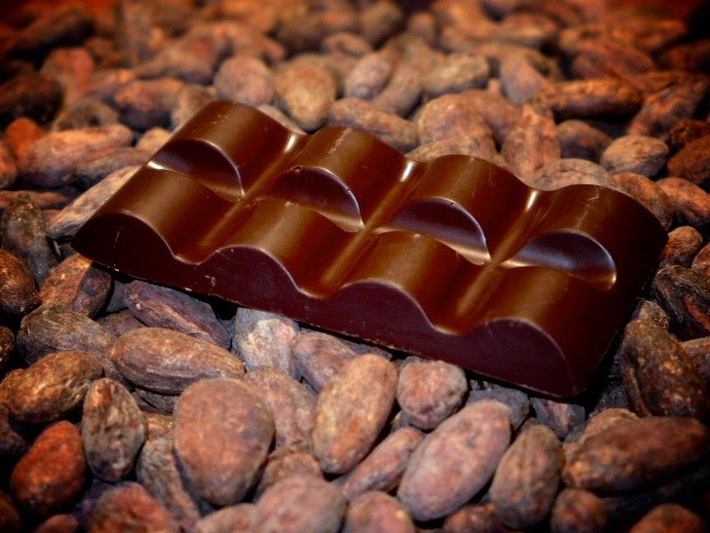 a chocolate bar with chocolate and cocoa beans