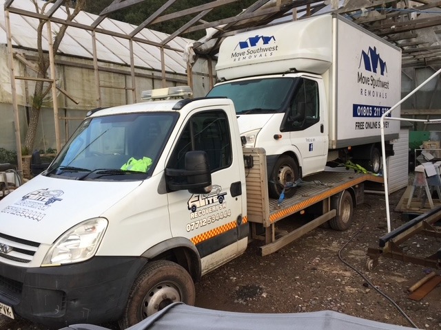 Recovered not too tall