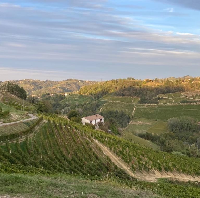 Agriturismo Il Muscatè