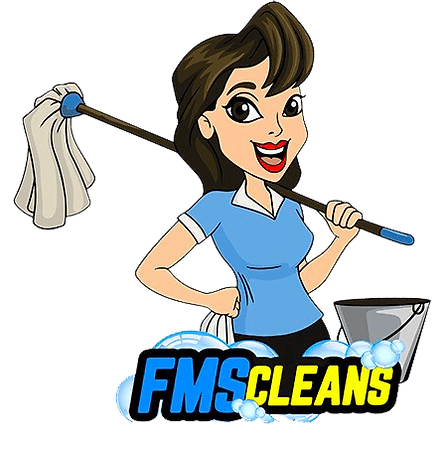 smetropolitancleaningservices.com