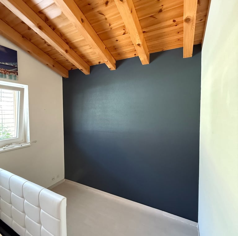 couleur murs peinture