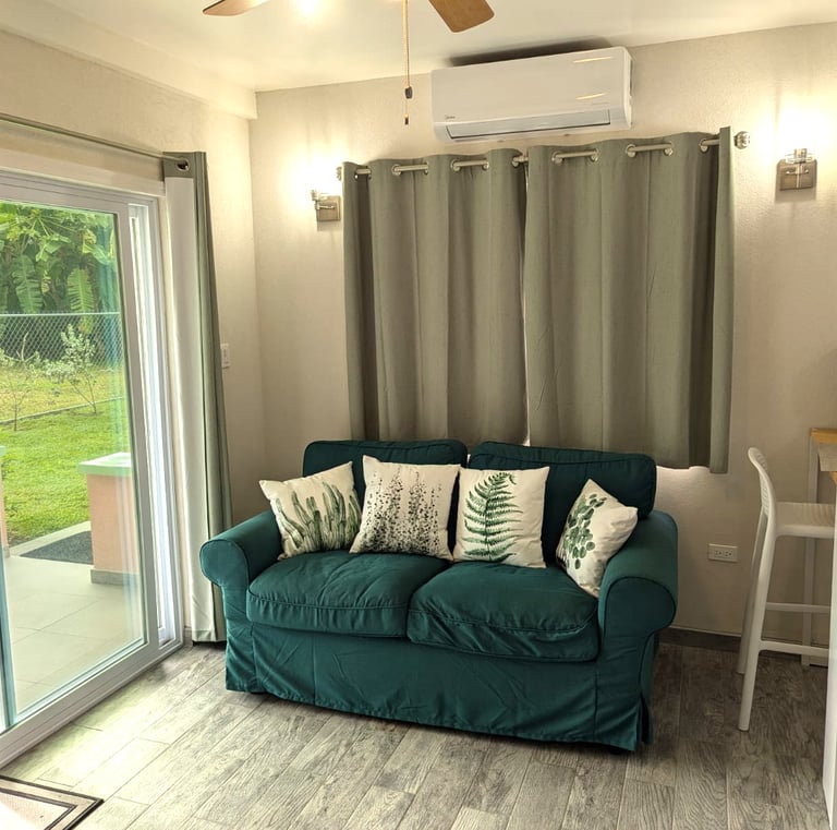 ground level living room couch
