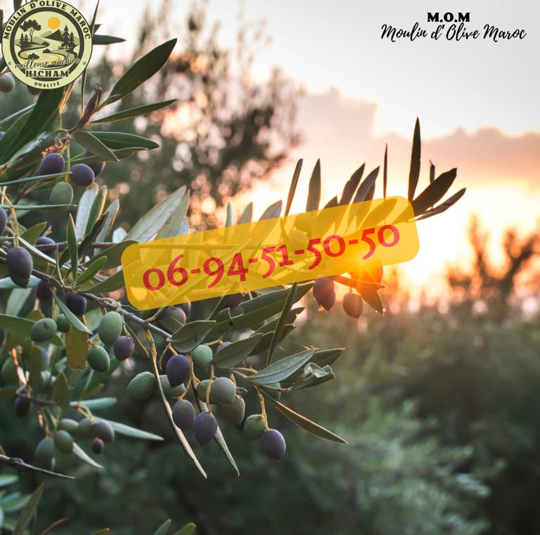 prix olive maroc