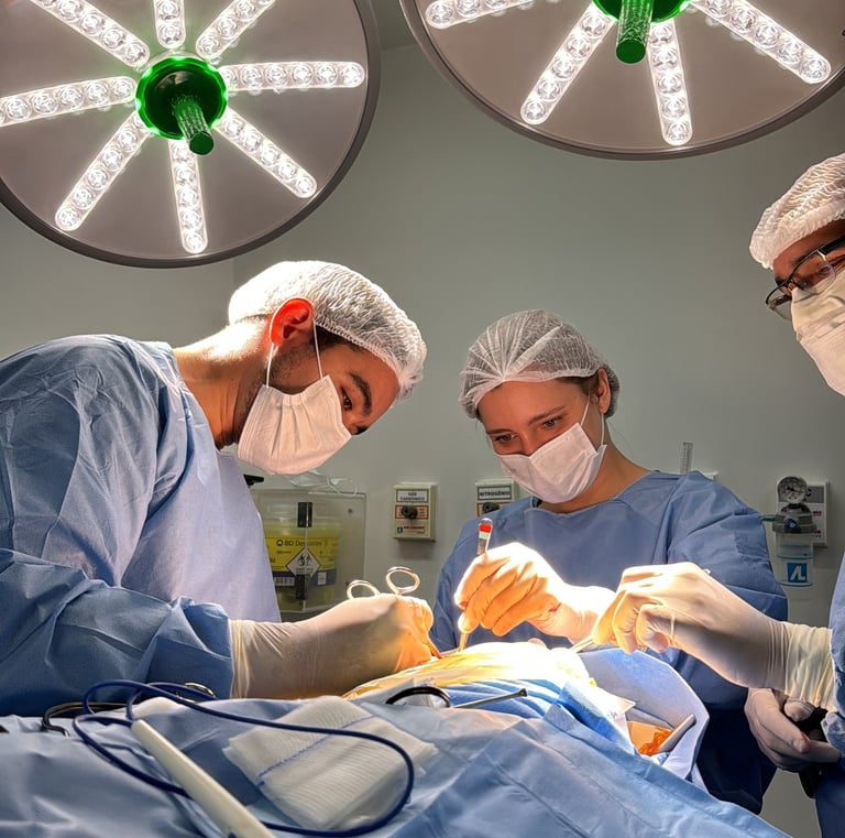 Francisco Torrao neuro cirurgião especialista em Nervos Perifericos e Plexo Braqueal no RJ 