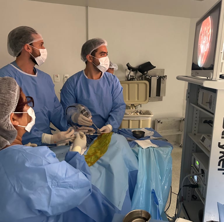 Francisco Torrao neuro cirurgião especialista em Nervos Perifericos e Plexo Braqueal no RJ 