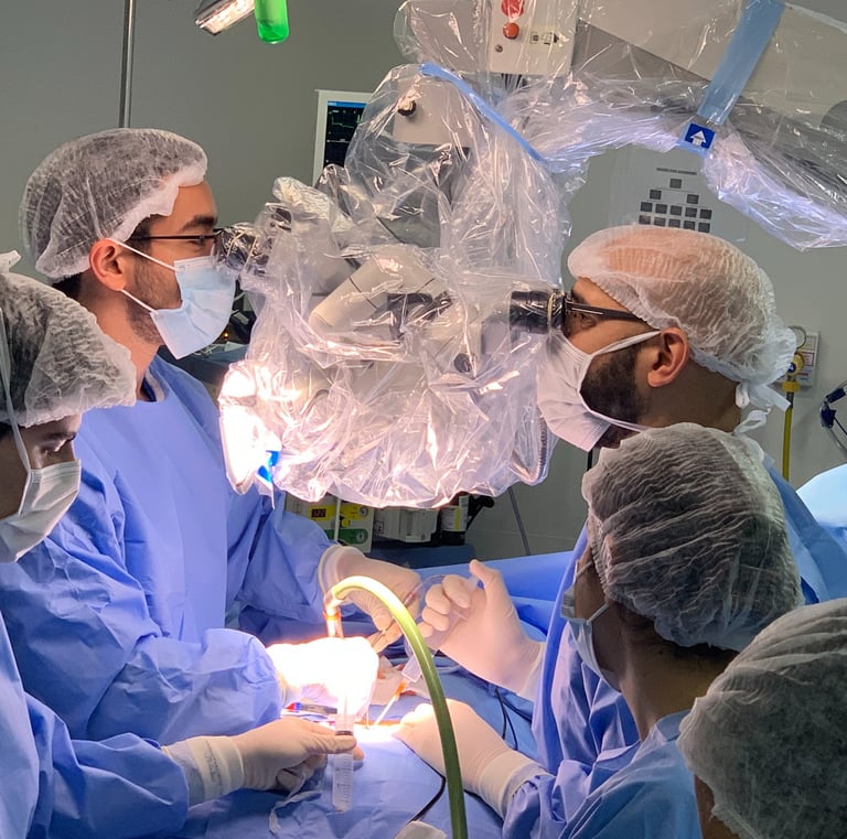 Francisco Torrao neuro cirurgião especialista em Nervos Perifericos e Plexo Braqueal no RJ 