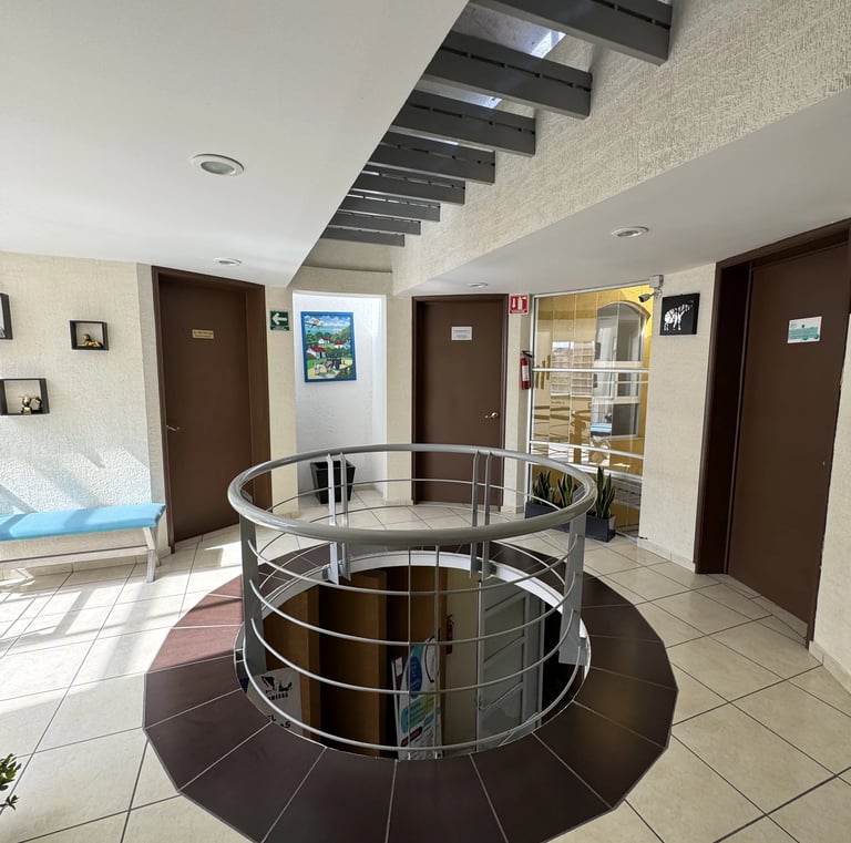 Oficinas de atención ortopédica