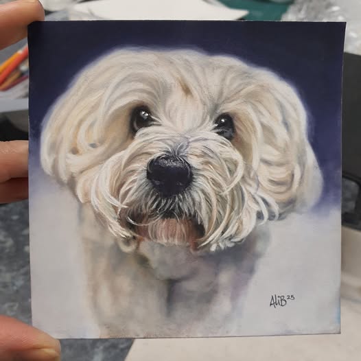 Pastel dog portrait by Alison Burchert
