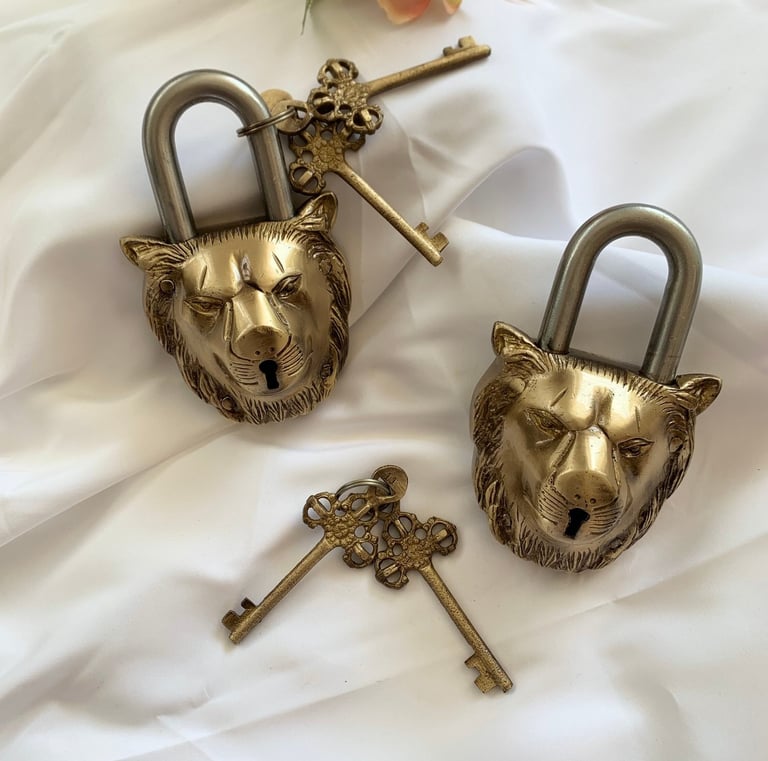 #LionLockWithKey 🦁🔐