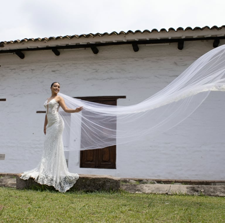 Un Vínculo Mágico: El Vestido y la Ilusión,Le da vida al vestido, llenándolo con la luz inigualable 