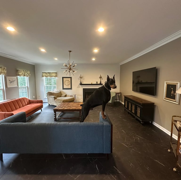 a dog is standing in a living room