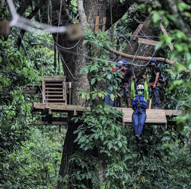 Taino Bay transfer review Hugo tours