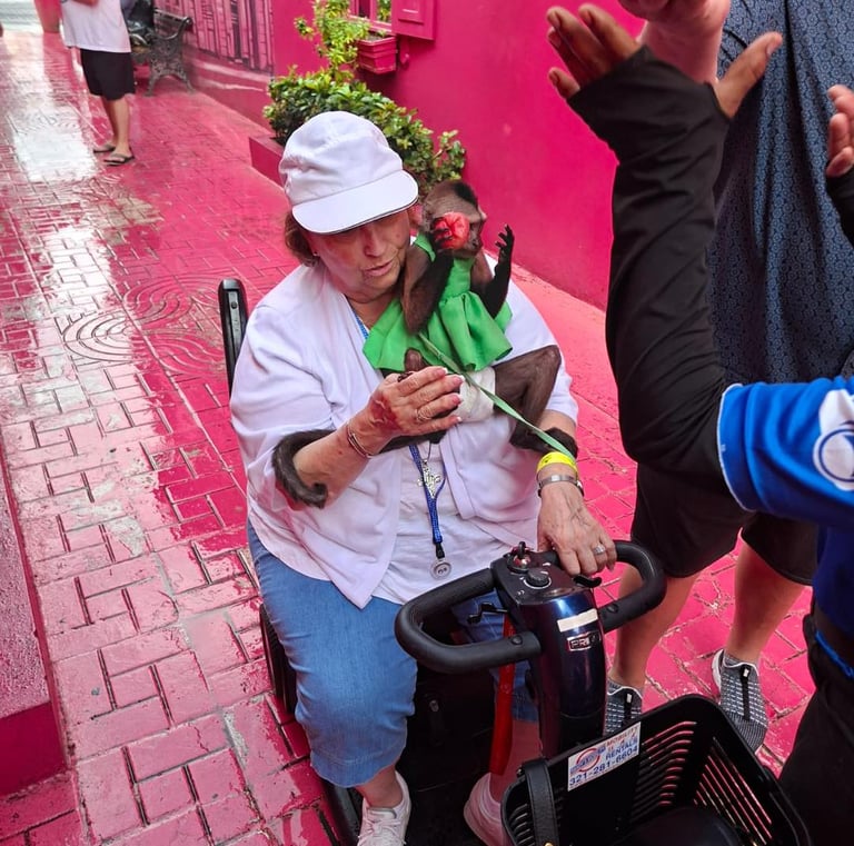 ripAdvisor review for Hugo Puerto Plata tours