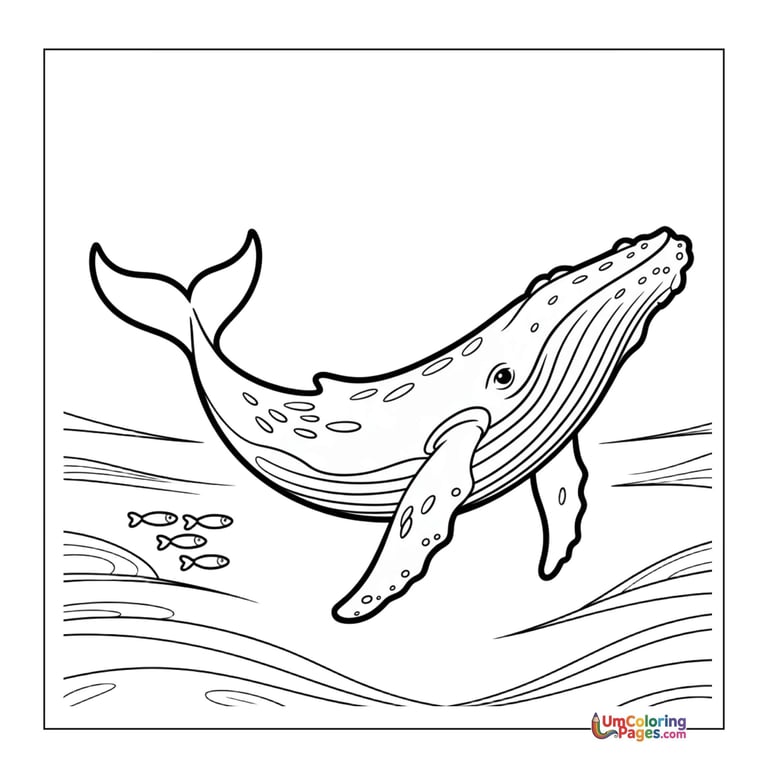 whale coloring page for kids
