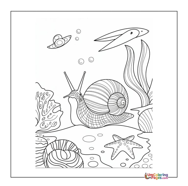 Cartoon snail coloring template garden creature page