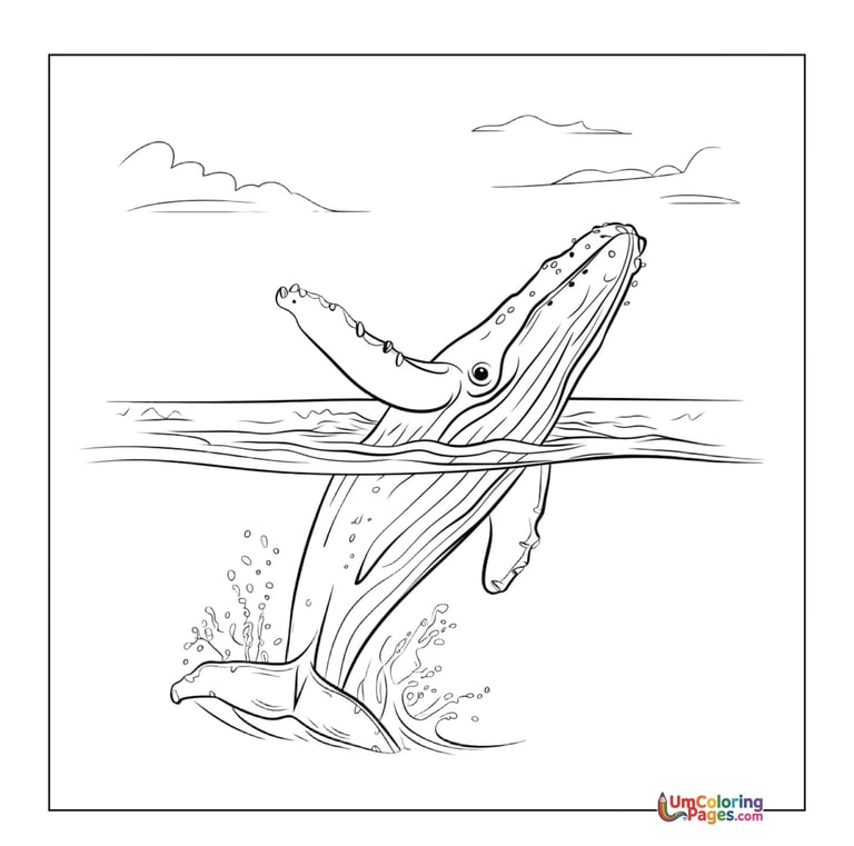 cute whale coloring sheet printable