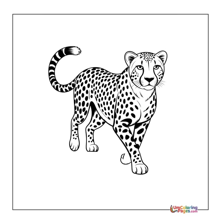 Cheetah coloring page spotted big cat printable for kids