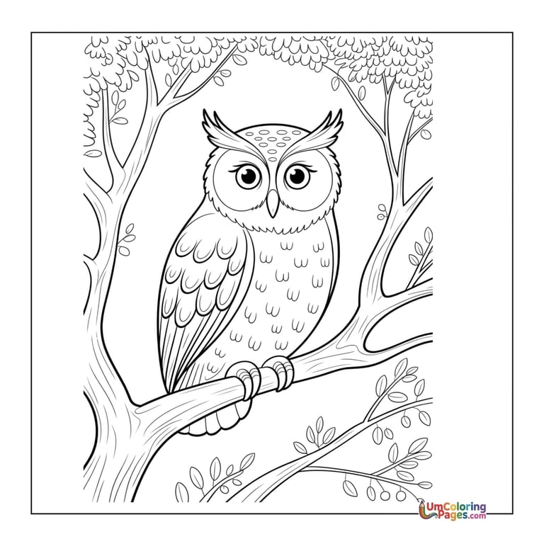 owl coloring page for kids