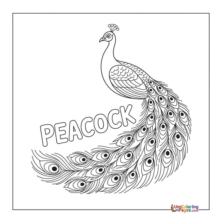 peacock coloring page for kids