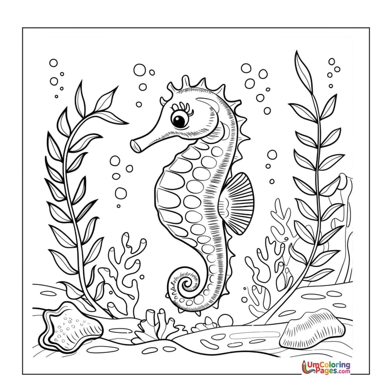 simple seahorse line art coloring page