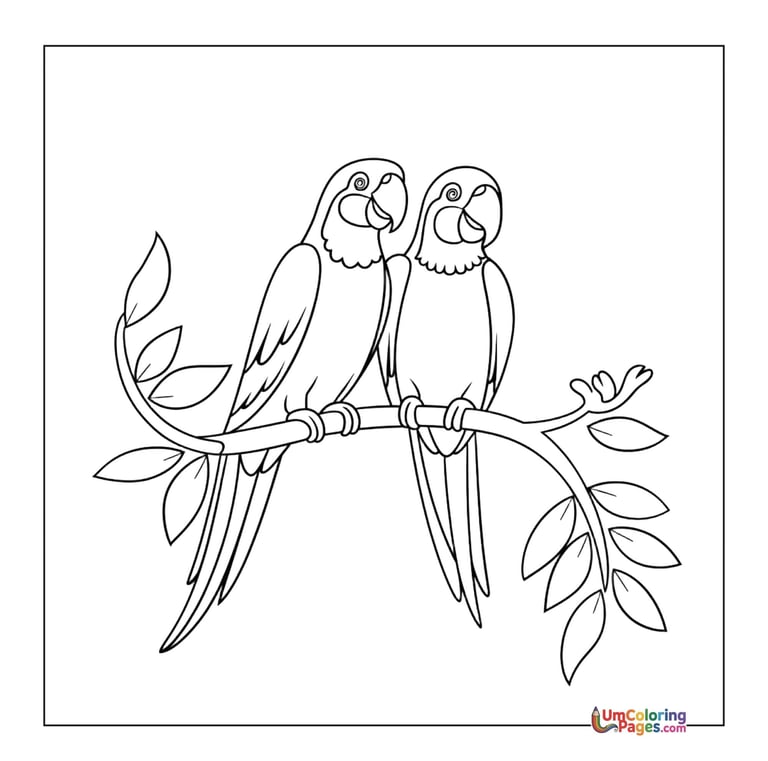 Talking parrot coloring page feathered pet printable