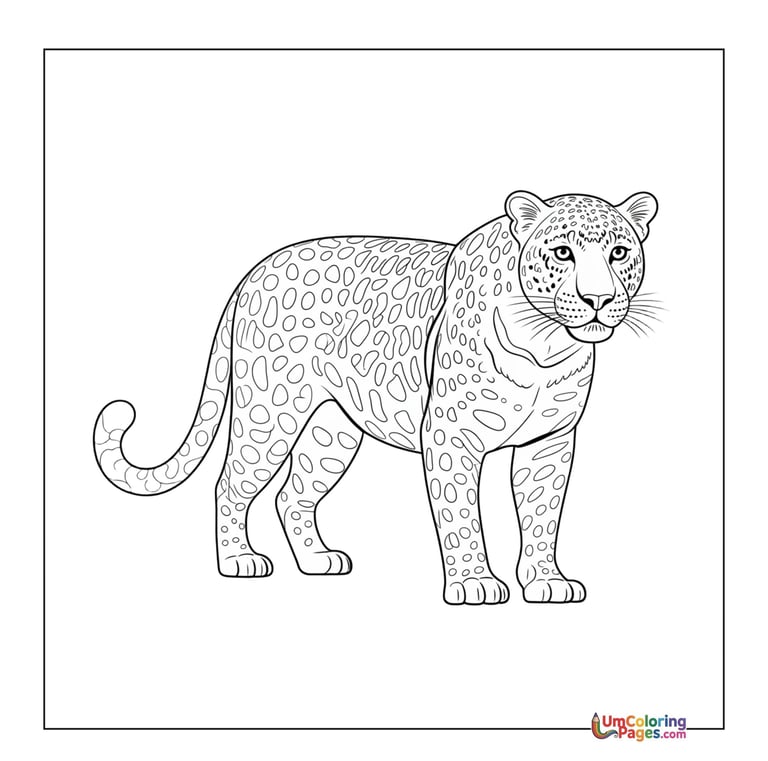 Prowling leopard outline drawing kids coloring worksheet