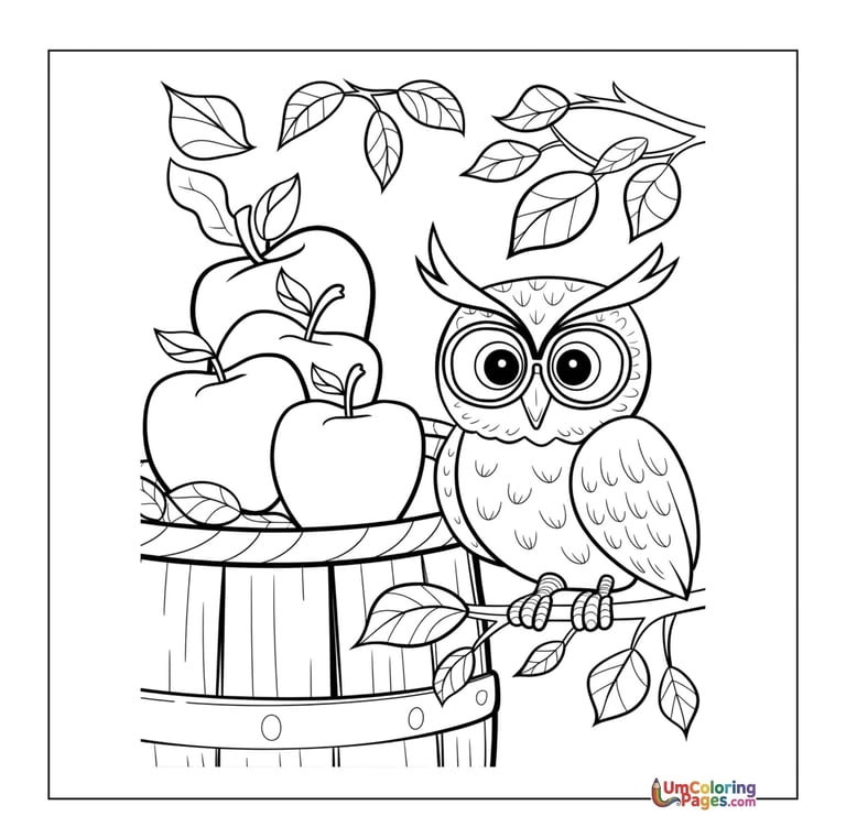 owl bird coloring page printable