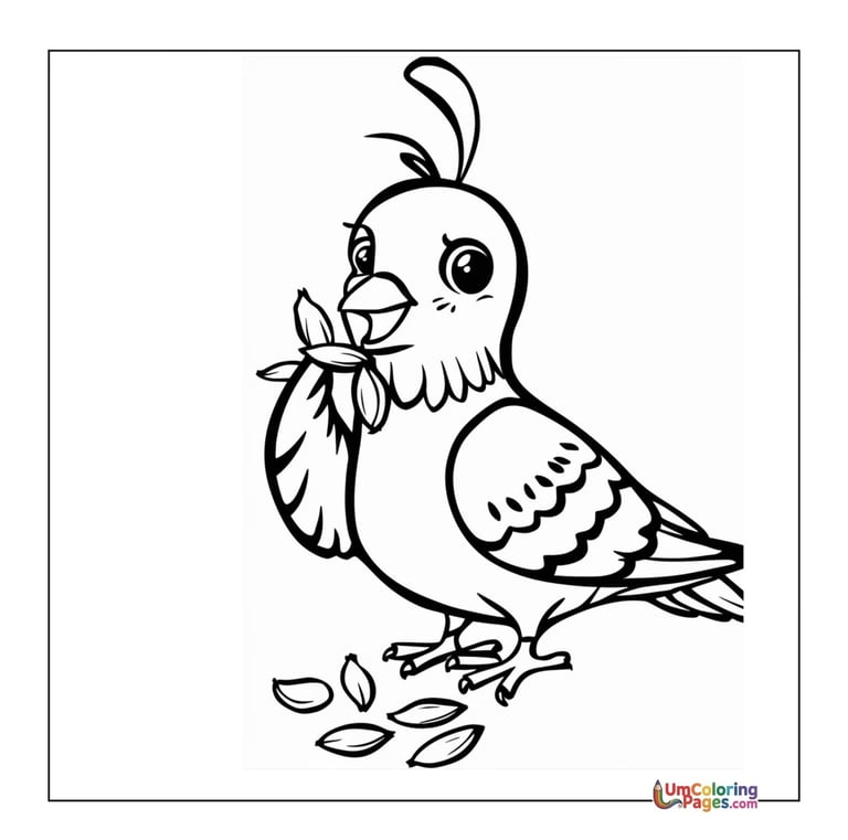 simple pigeon line art coloring page