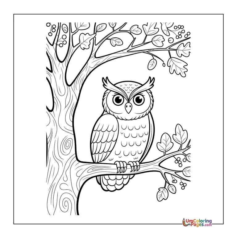 simple owl line art coloring page