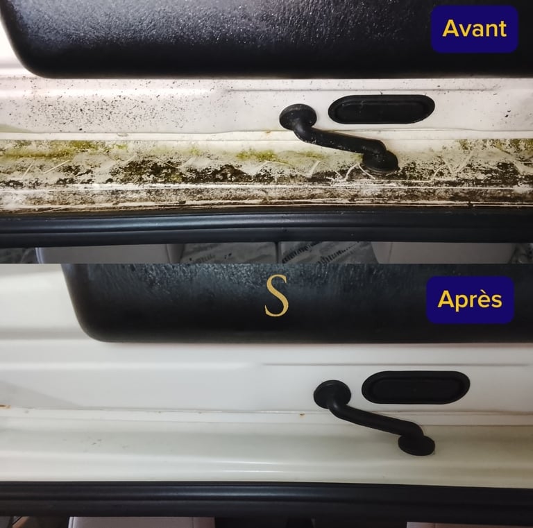 Comparaison avant et après nettoyage du cadre de porte de voiture pour éliminer la moisissure et 