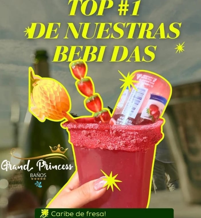 Bebidas preparadas