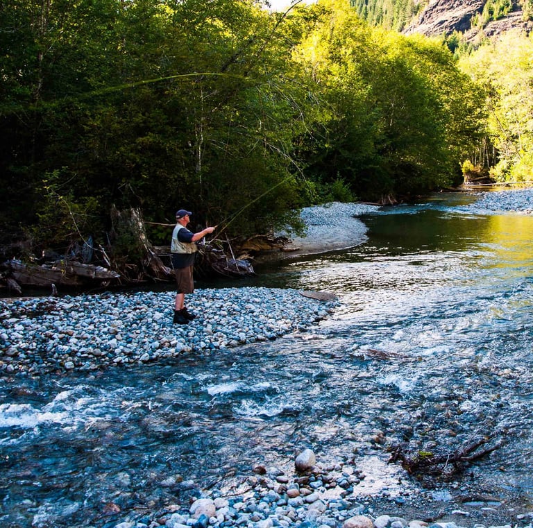 Angler fly fishing in a scenic mountain river surrounded by lush green forest trees.