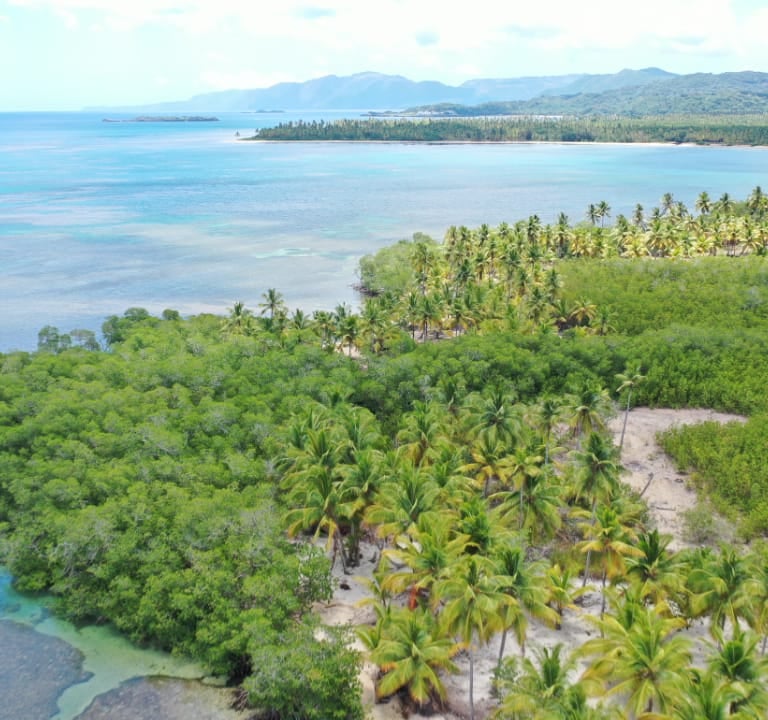 Aerial view of Cost Serena with beach and palm trees;Vista aérea de Cost Serena con playa y palmeras