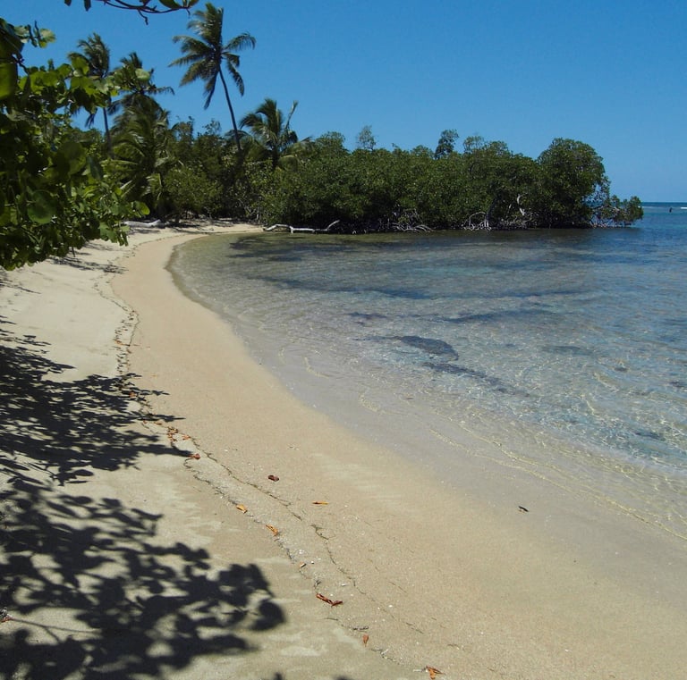 Calm sandy beach with mangroves;Playa de arena tranquila con manglares