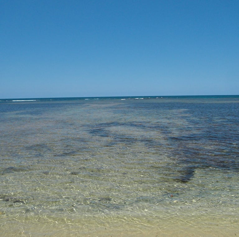 Calm sandy beach with mangroves;Playa de arena tranquila con manglares