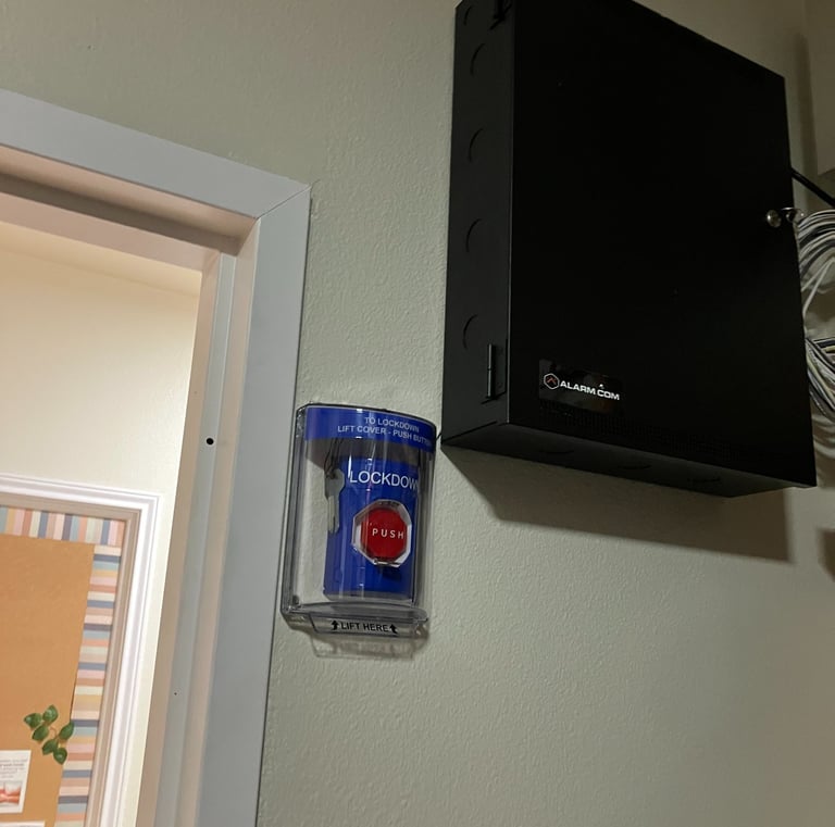 access control panel and lockdown button