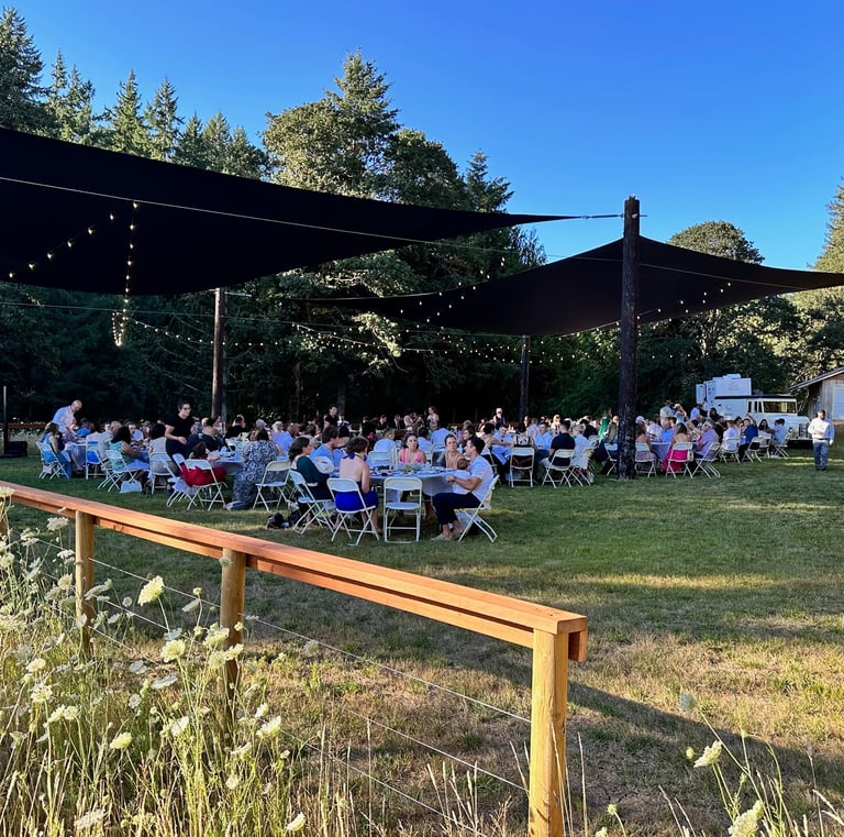 reception under the shade sails