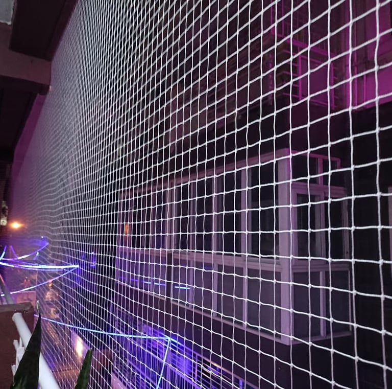 Pigeon net covering an AC unit on a building exterior in Ahmedabad.