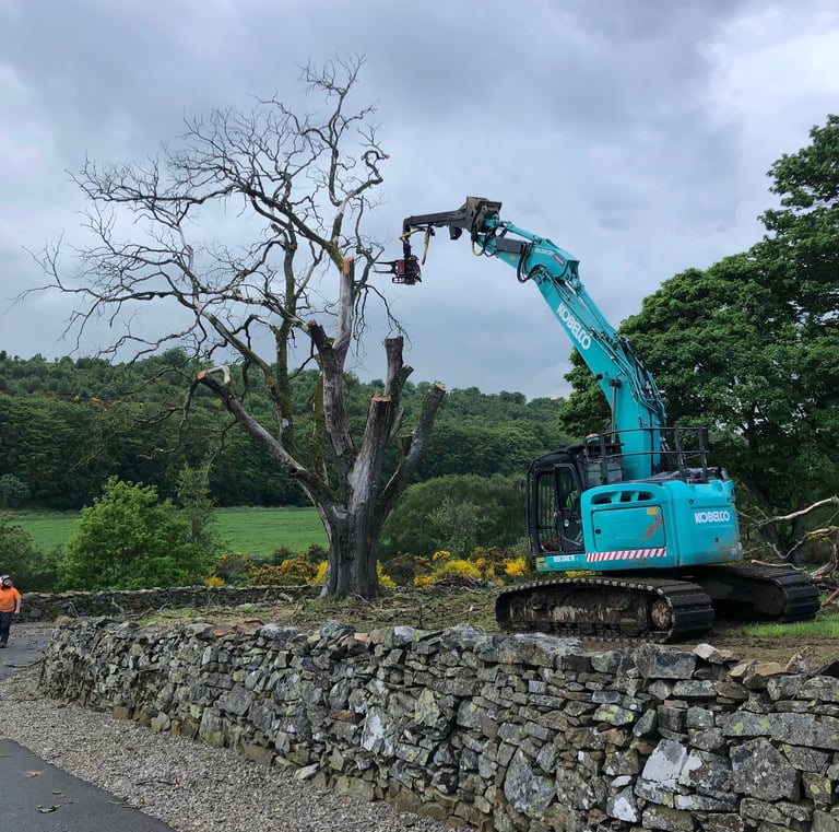 Tree Removal Ellon