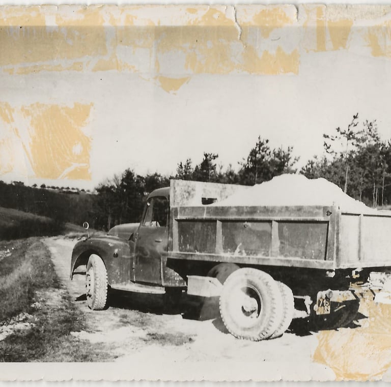 L'Oursin Blanc histoire