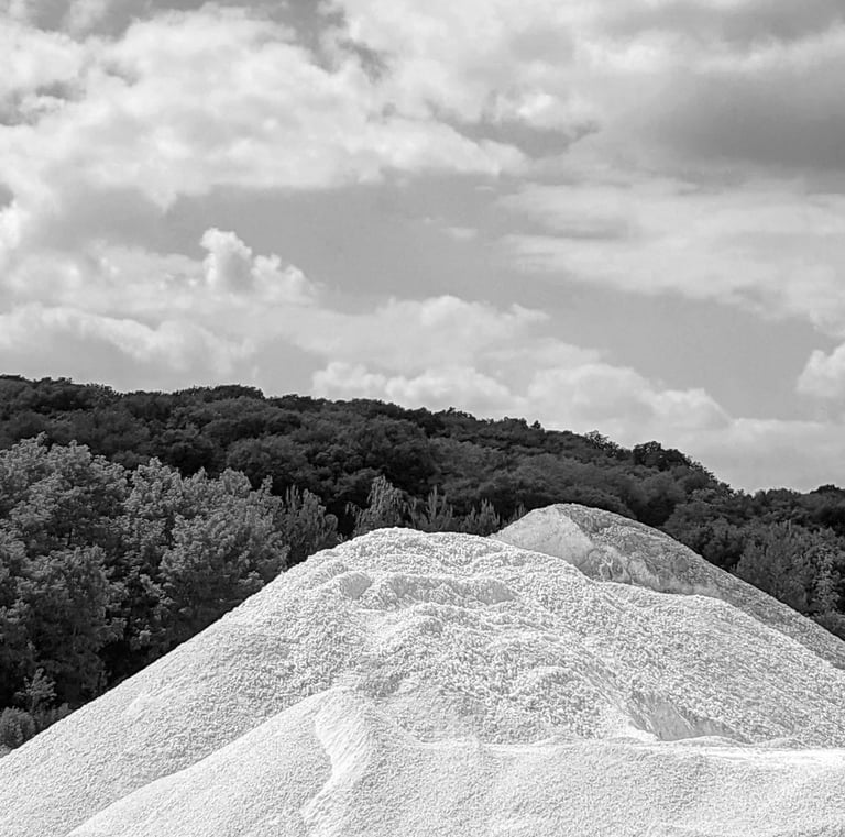 L'Oursin Blanc carbonate de chaux