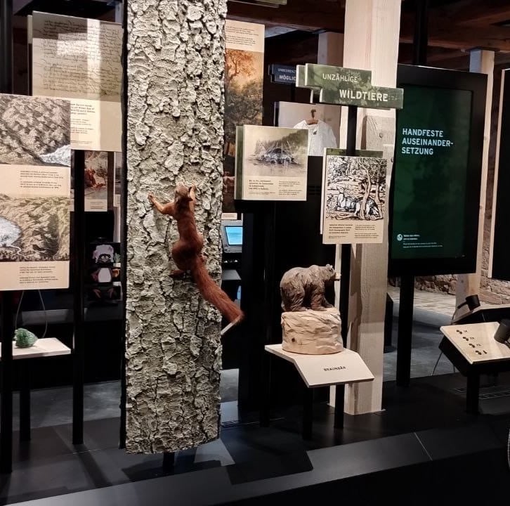 Ausstellung Herrenwies Nationalpark Haus