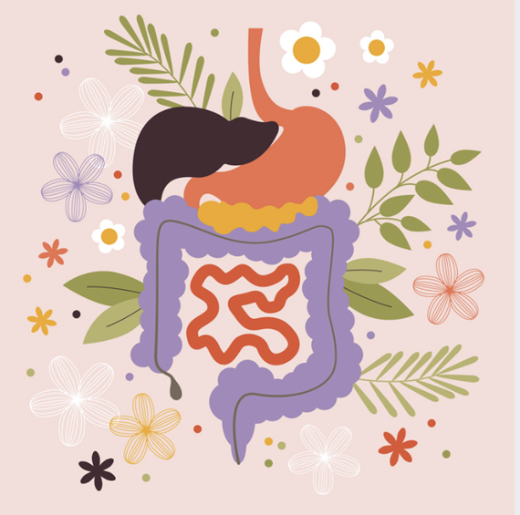 A colorful illustration of the human digestive system and gut microbiome surrounded by floral elements.